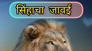 मराठी कथा - सिंहांचा जावई..| #marathi #marathimoralstory #marathistory #हृदयस्पर्शीकथा #viral #reels