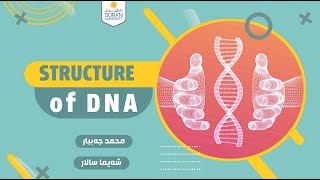 Structure of DNA - "پێكهاته‌ی "دی ئێن ئه‌ی