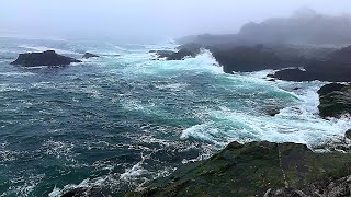 🌊🌫Relax with Powerful Waves at Maine's Rocky Coast 🌫🌊