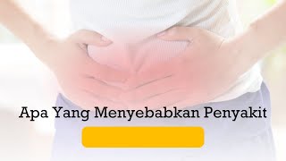 Apa Yang Menyebabkan Penyakit Batu Empedu?