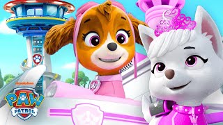 Skye & PAW Patrol Make an Emergency Rescue at the Lookout Tower! | Shimmer and Shine