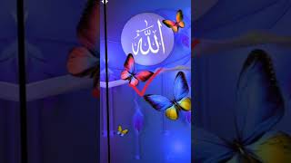 Allah best short video #trending #islam #allah #shorts