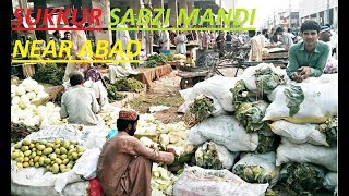 Sukkur Sabzi Mandi | Best Sabzi Mandi of Sind