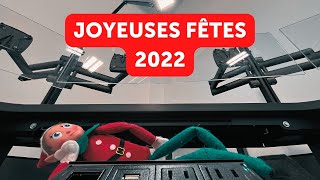 Un elfe festif apporte la joie des fêtes à Sustema 🎄