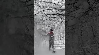 Shaking the trees to prevent them from being broken by the snow