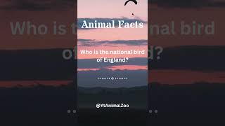 Unveiling the Wonders Incredible Animal Facts Revealed Engaging Wildlife Trivia 64