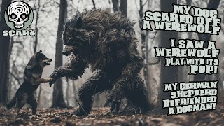 I Saw a Werewolf Playing With Its Pup! My Little Dog Scared Off a Werewolf!