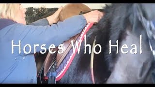 Horses Who Heal Documentary