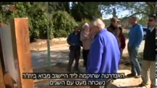 פעולת לולב-מבצע חוסן