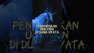 Penampakan Unicorn di Dunia Nyata #misteri #horrorstories #shorts #unicorn #mystery