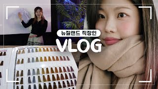 ENG 🇳🇿뉴질랜드 직장인 브이로그 Vlogㅣ디자이너 회사외근ㅣ미용실 브이로그ㅣKorean Hair Salonㅣ탈색&염색하기ㅣ#해외취업 #직장인브이로그 #미용실브이로그