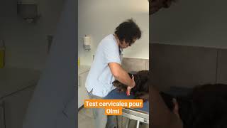 test cervicales pour Olmi