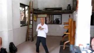 Wing Chun with Master Lu - Foshan.