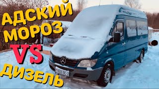 ЗАВОДИМ 4 ДИЗЕЛЯ В АДСКИЙ МОРОЗ!! Mercedes, Opel, VW, BMW, ВАЗ.