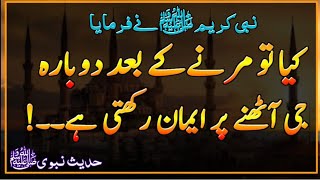 Hazoor Saw Ne Farmaea  Too Marne Ke Baad Dobara G Uthne Pe Iman Rakhti Hai | Hadees | AQH Official