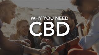 Your Guide To CBD!