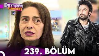 Duymayan Kalmasın 239.Bölüm