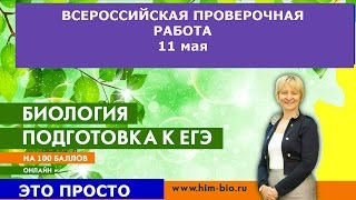 Всероссийкая проверочная работа 2017 по биологии!!!. Разбор демоверсии.Подготовка к ВПР по биологии