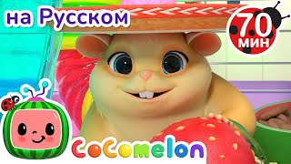 Где же Хомяк? | Детские Песенки CoComelon