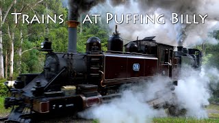 Trains at Puffing Billy 20/12/20