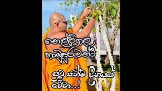 Upandina suba pathum |  උපන්දින සුබ පැතුම්