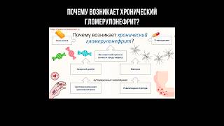 Почему возникает хронический гломерулонефрит? #почки #гломерулонефрит #нефрология #почка