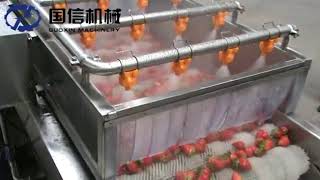 Strawberry fruit washing machine