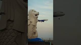 Indigo In Kolkata | #aviation #planesspotting #viralvideo #trending #aviationlovers #airbus #a321