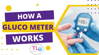 How a Glucose Meter Works || Glucometer