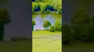 British Countryside in Summer