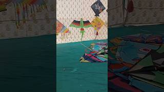 Kite Exhibition #remix #viral #shortvideos