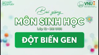 [Sinh Học HSA] - LỚP 12 - BÀI 0103 - ĐỘT BIẾN GEN | Mapstudy