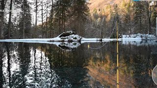 Рыбалка🎣 Отдых На Природе🌿 Река Клаус🏞️ Звуки Природы, Пение Птиц🐦 Красивые Пейзажи My Fishing World