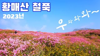 황매산 철쭉 넘 예쁘네요^^ 국내 최대 철쭉 군락지,5월 추천 여행지,경남 합천,산청 여행, 가족여행,당일여행,등산,국내여행.