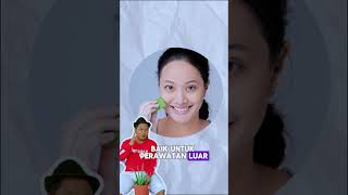 MANFAAT DAN ASAL LIDAH BUAYA, HAYO APA ??? #juraganlahan #lidahbuaya #aloevera