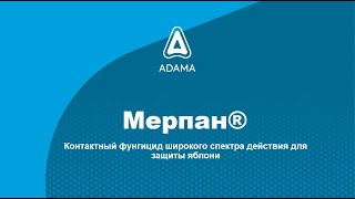 контактный фунгицид Мерпан® для борьбы с паршой и гнилями хранения на яблоне