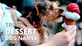 50+ Tasty DESSERT DOG NAMES -- for boys and girls! | PupNames.com