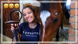 Nuovi prodotti Equestro! Tutto oro rosa💗 | Pernilla Iperti