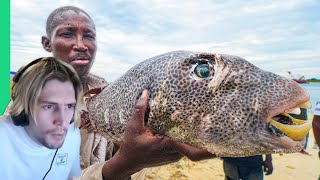 xQc reacts to EXTREME African Seafood!!!