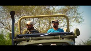 Black buck National Park Velavadar Gujarat