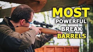 Top 10 Most Powerful Break Barrels Air Rifles 2021 - Best Air Rifles