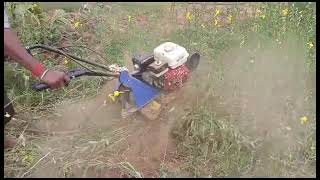 Honda power weeder in GYDIndian Agro Tech Kurnool Andhra Pradesh 9666462064