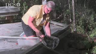 See what we can find while Dip Netting at Brooker Creek Preserve in Tarpon Springs