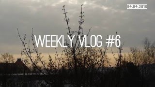 Weekly Vlog #6 ~ Awakening of a tree