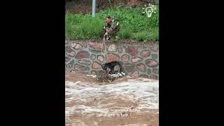 Brave men rescued dog trapped in strong river!