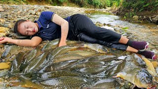 Harvest natural giant fish from shallow streams sold at the central market - Pet care | Ly Thi Tam