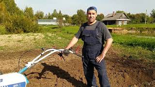 Осенняя вспашка мотоблоком с Мультиагро. Пашем двумя разными плугами. Plowing with a plow.