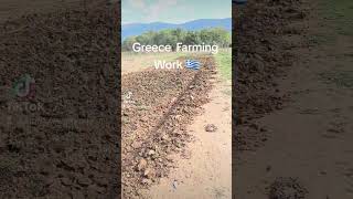 Greece Farming Work 🇬🇷 #greece #shorts #shortvideo #panjabi #amritrawalpindi