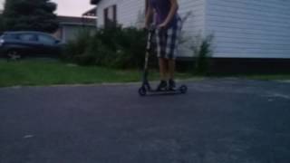 TAILWHIPS FOR DAYS