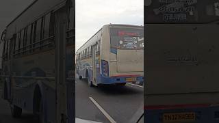 TNSTC Blue bird 😍#tnstc #shorts_ #trend #youtube #gopro #shorts #bus #travelvlog #clips #travel